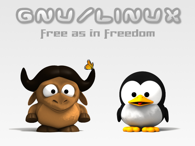 Quick tip: Making files immutable on GNU/Linux cover image