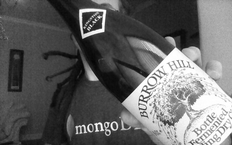 Review — Burrow Hill Sparkling Dry Kingston Black cider cover image